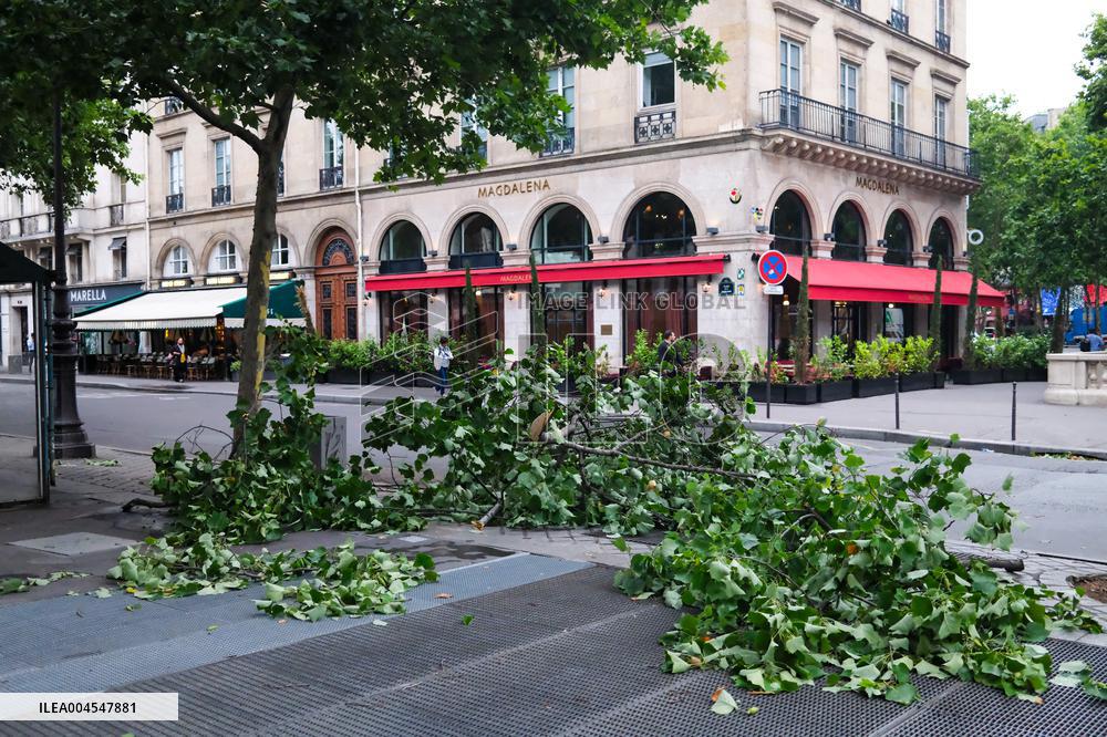 Recovery After Violent Storms in Paris - Paris