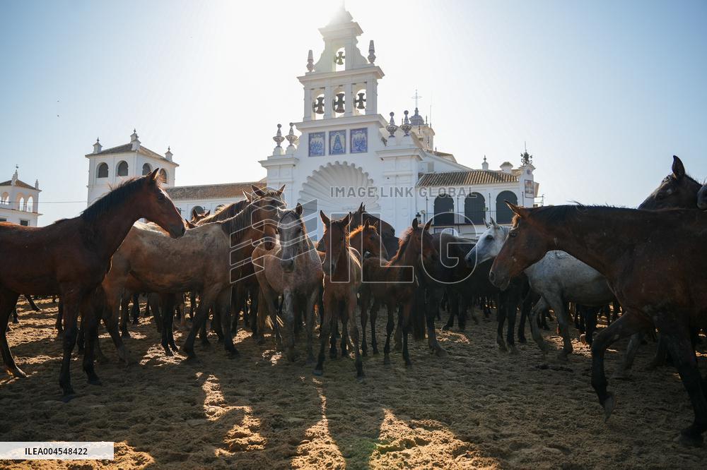 Traditional Saca De Yeguas - Spain
