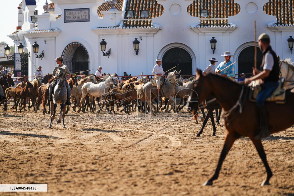 Traditional Saca De Yeguas - Spain