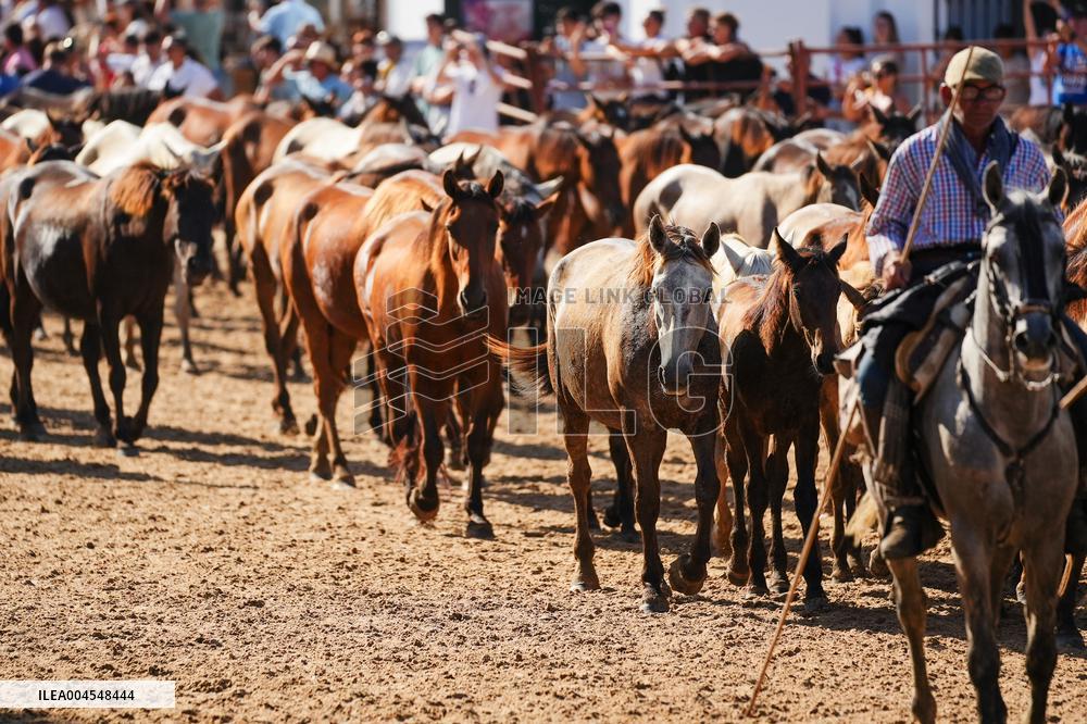 Traditional Saca De Yeguas - Spain