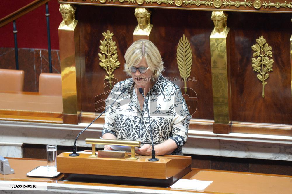 Debate At The National Assembly - Paris