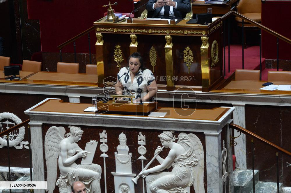Debate At The National Assembly - Paris