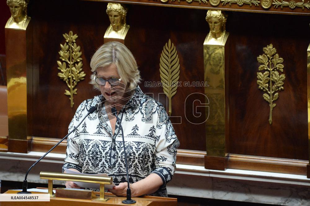 Debate At The National Assembly - Paris