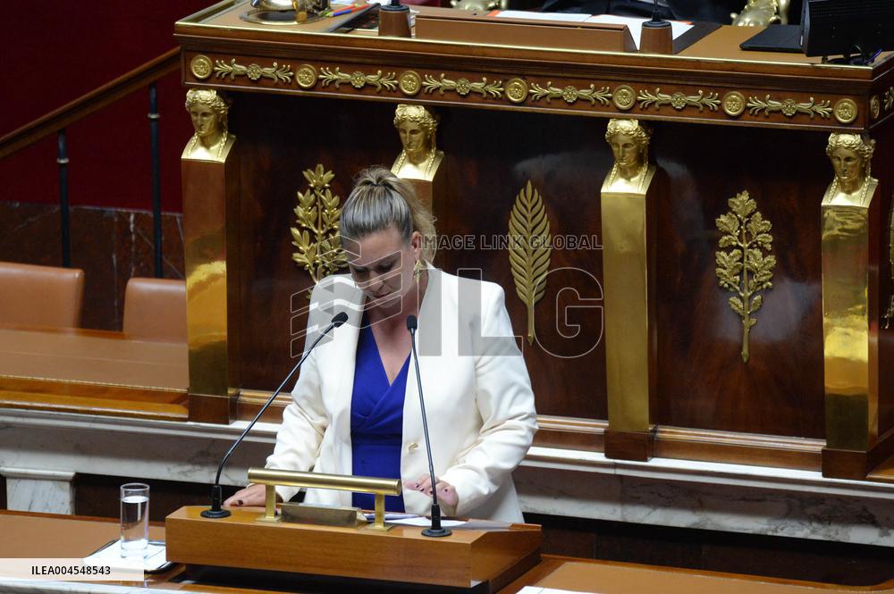 Debate At The National Assembly - Paris