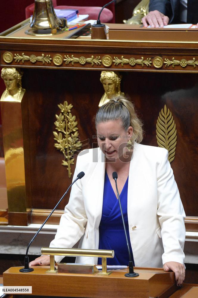 Debate At The National Assembly - Paris