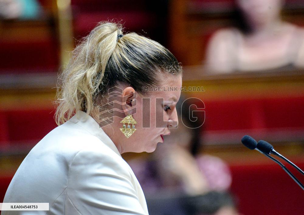 Debate At The National Assembly - Paris