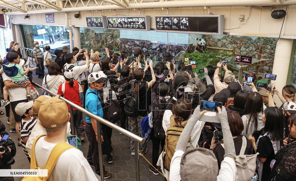 Four giant pandas at western Japan zoo to return to China