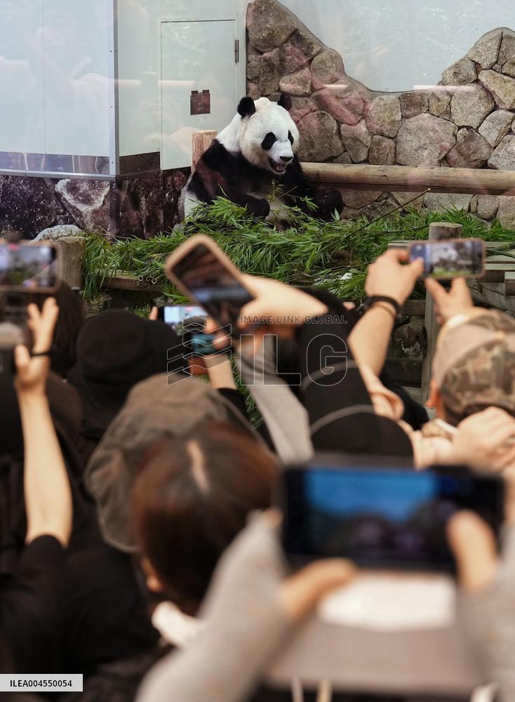 Four giant pandas at western Japan zoo to return to China