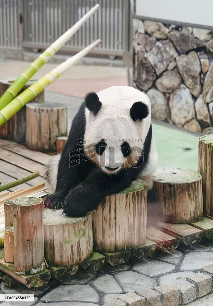 Four giant pandas at western Japan zoo to return to China