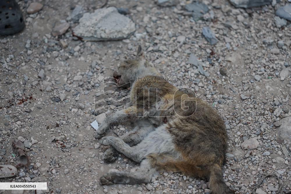 Israeli Airstrike Hits Residential Building - Gaza City