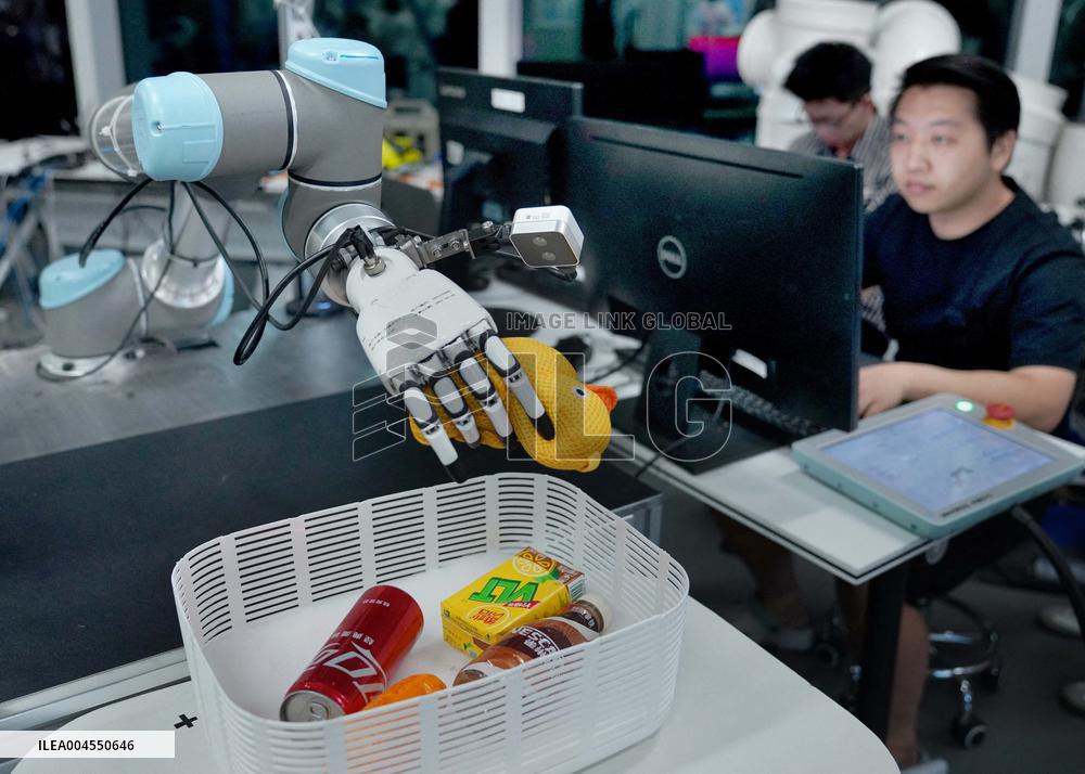 Robot Industry - China