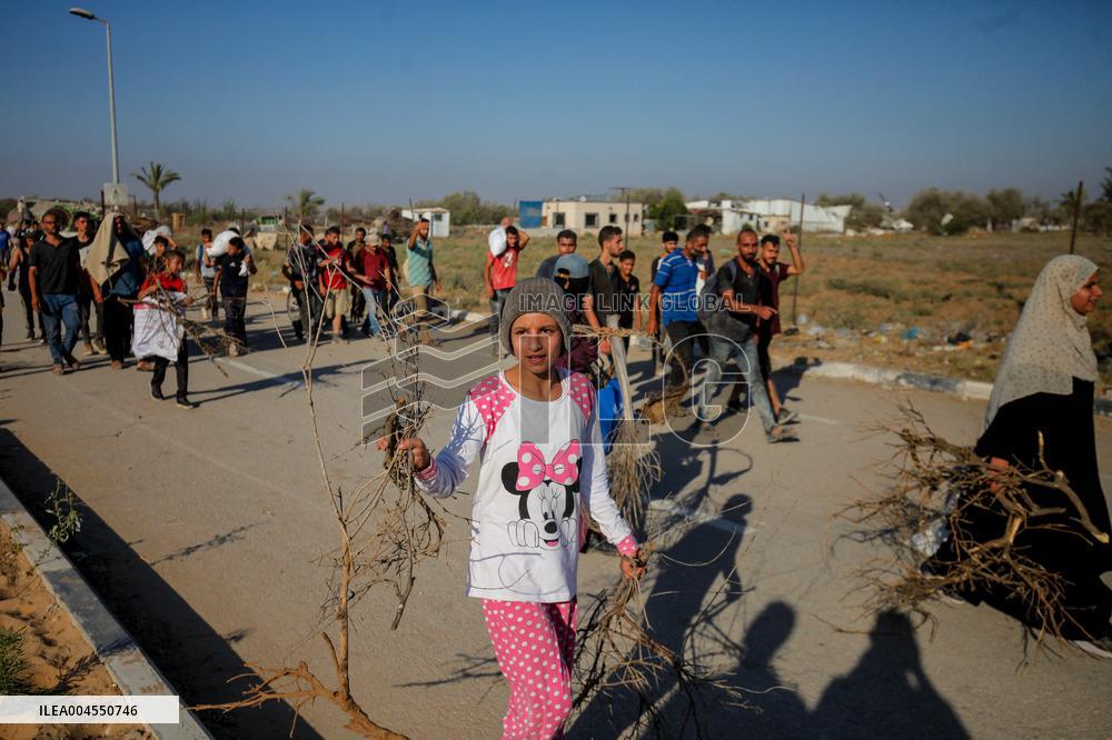 Palestinians Carry Collected Tree Branches and Scrap Wood - Gaza