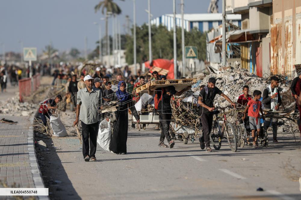 Palestinians Carry Collected Tree Branches and Scrap Wood - Gaza