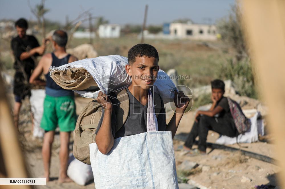 Palestinians Carry Collected Tree Branches and Scrap Wood - Gaza
