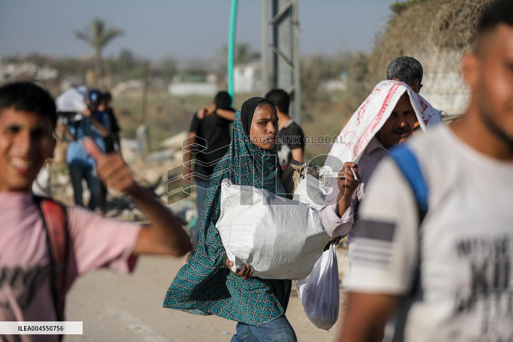 Palestinians Carry Collected Tree Branches and Scrap Wood - Gaza