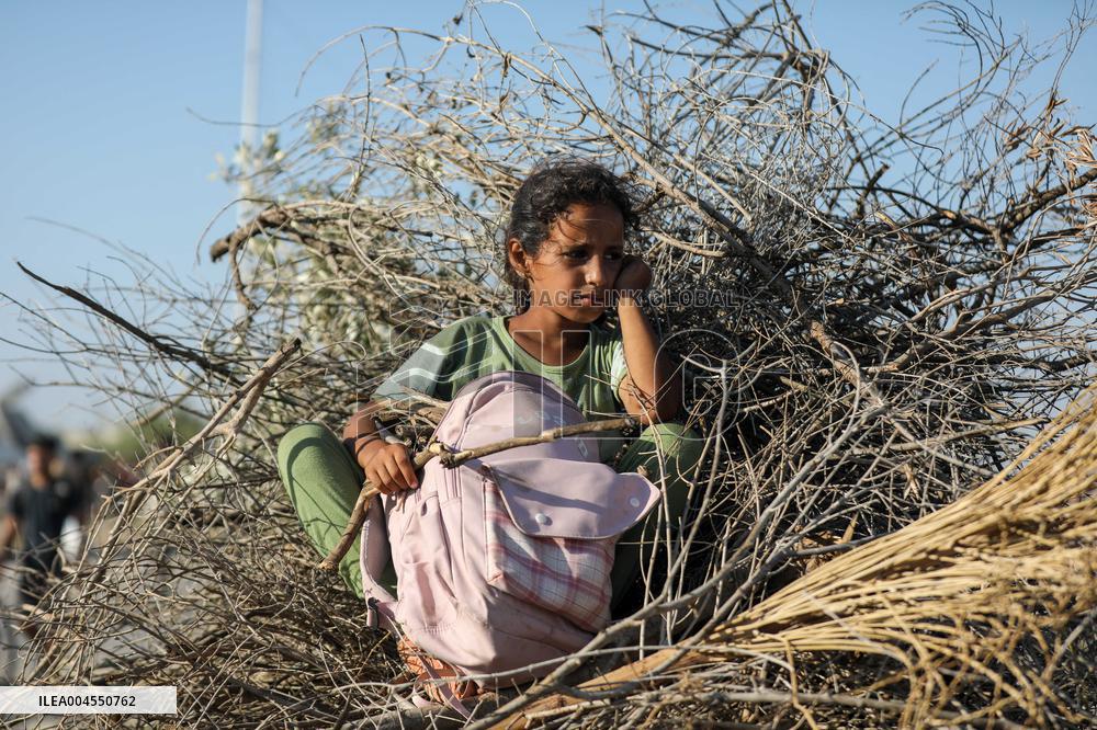 Palestinians Carry Collected Tree Branches and Scrap Wood - Gaza