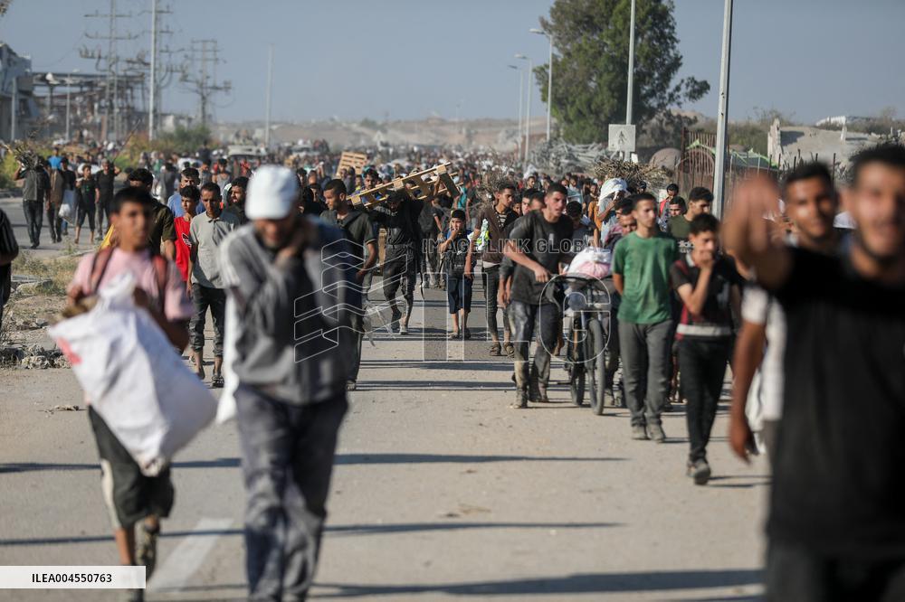 Palestinians Carry Collected Tree Branches and Scrap Wood - Gaza