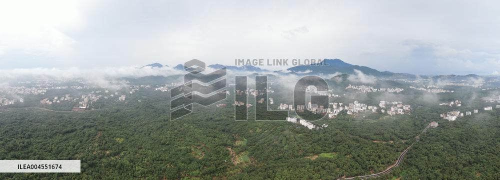 Chinese Lychees Production - China