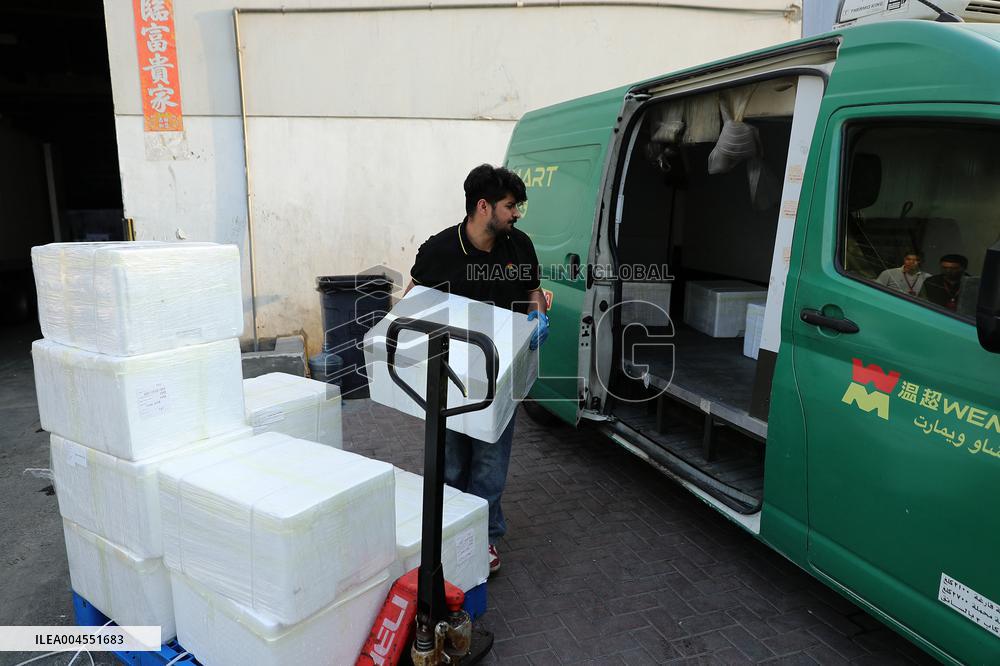 Chinese Lychees Production - China