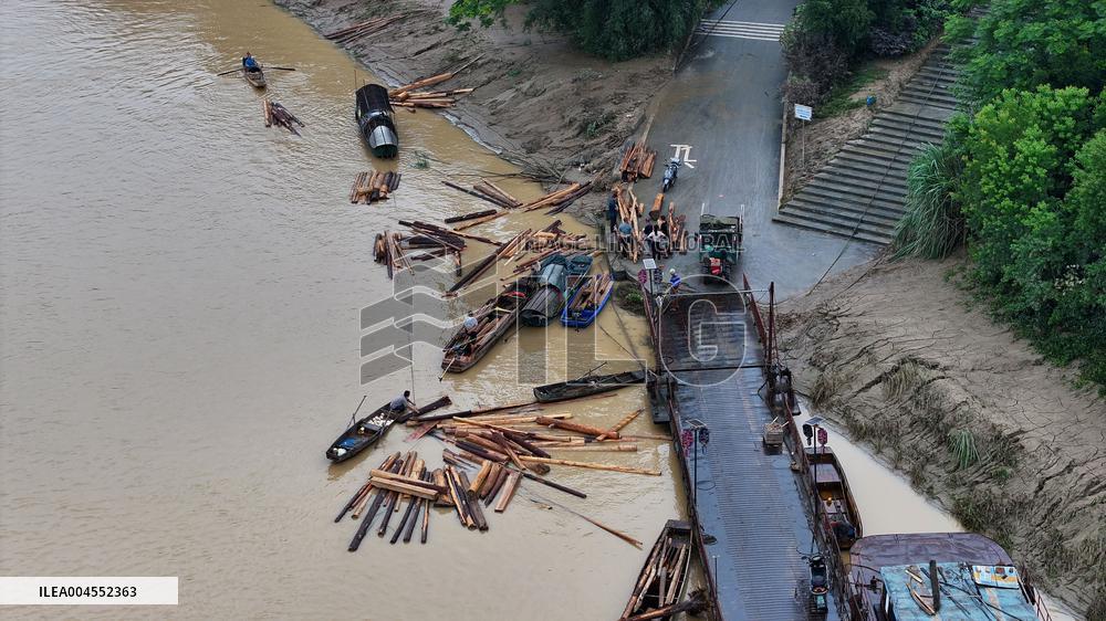 Salvage China firs After The Flood Peak in Rong'an
