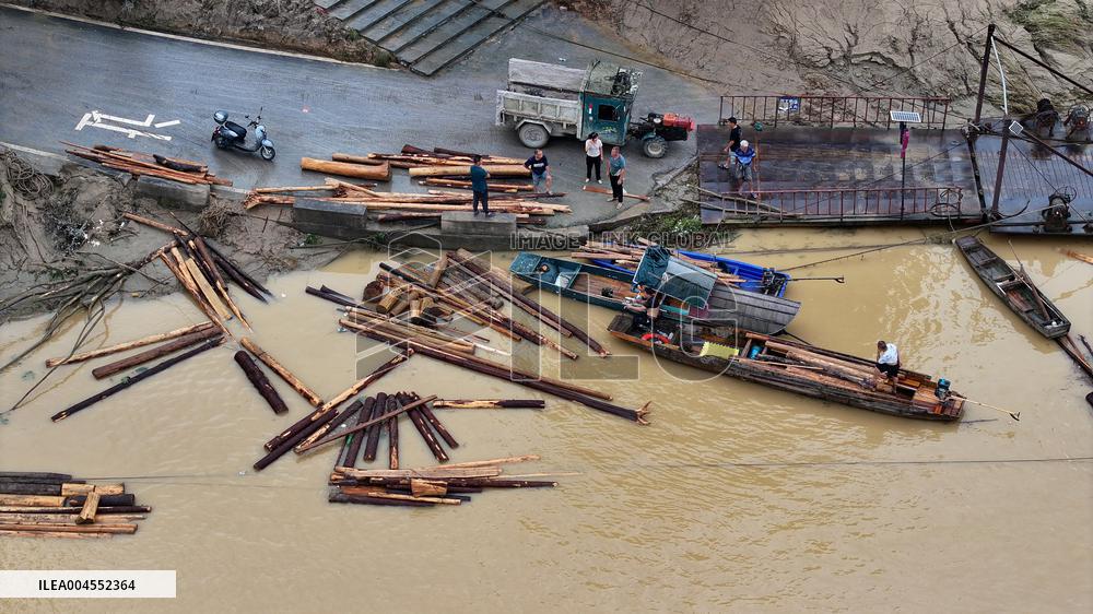 Salvage China firs After The Flood Peak in Rong'an