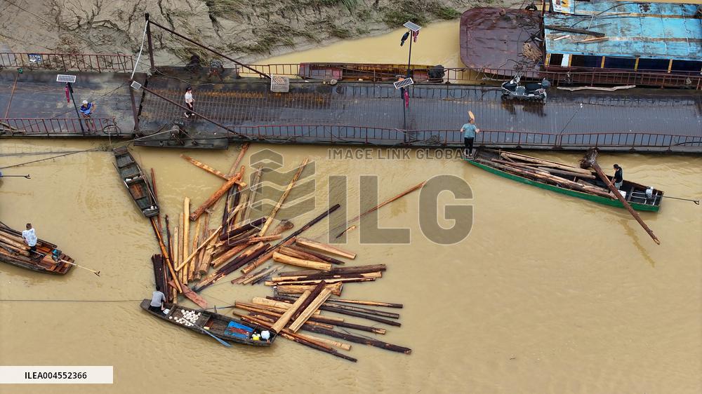 Salvage China firs After The Flood Peak in Rong'an