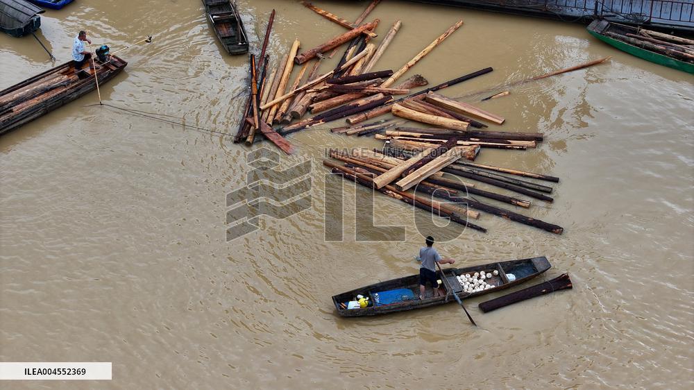 Salvage China firs After The Flood Peak in Rong'an