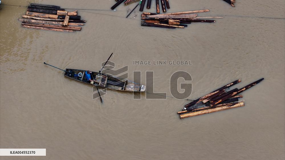 Salvage China firs After The Flood Peak in Rong'an