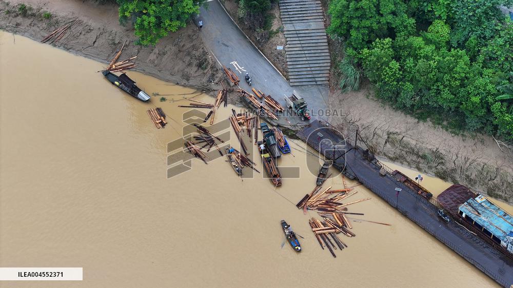 Salvage China firs After The Flood Peak in Rong'an