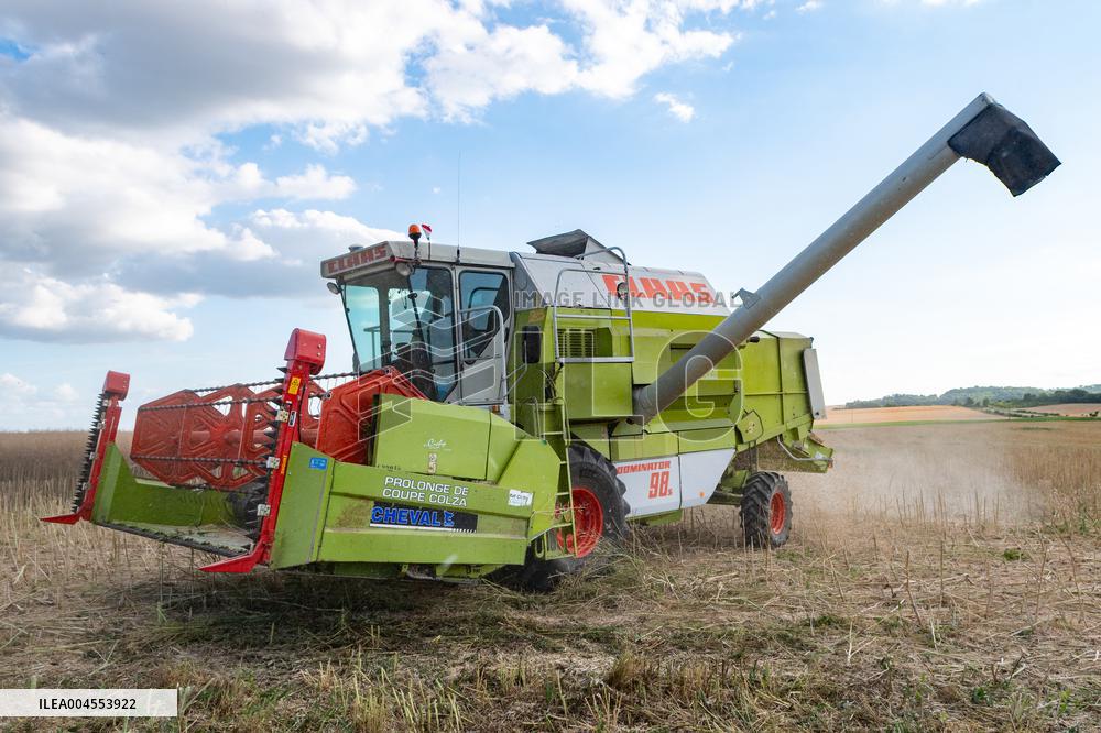Rapeseed harvest near Chamoy in Aude - France