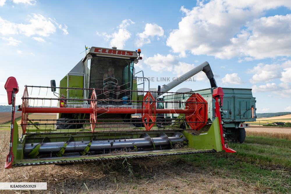 Rapeseed harvest near Chamoy in Aude - France