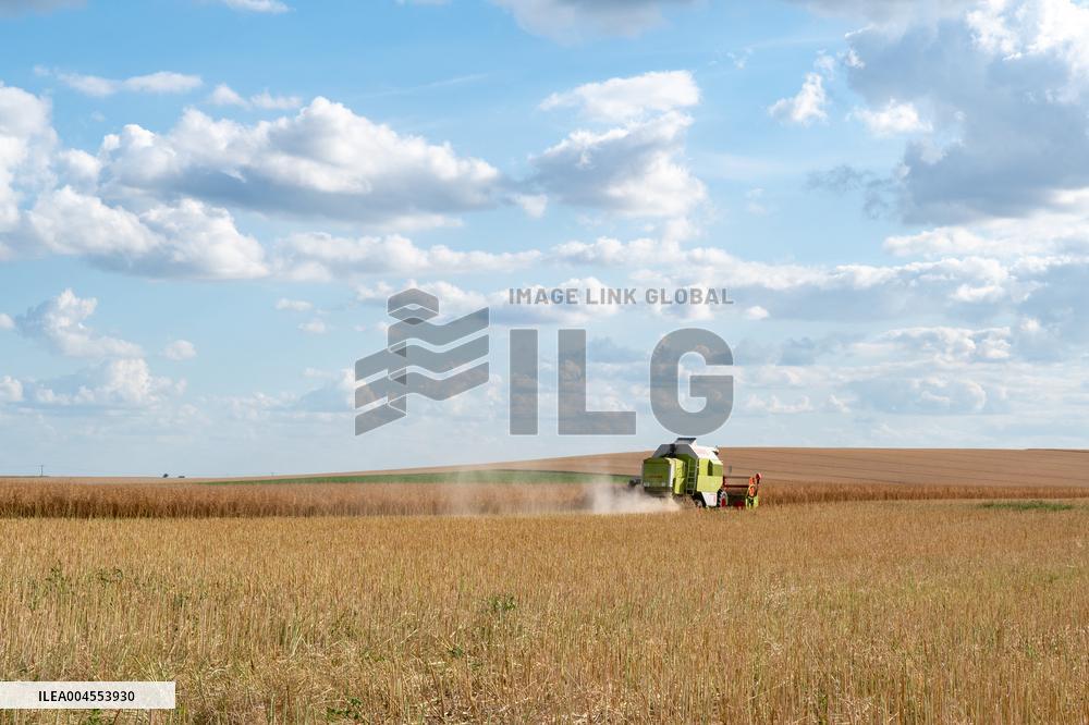 Rapeseed harvest near Chamoy in Aude - France