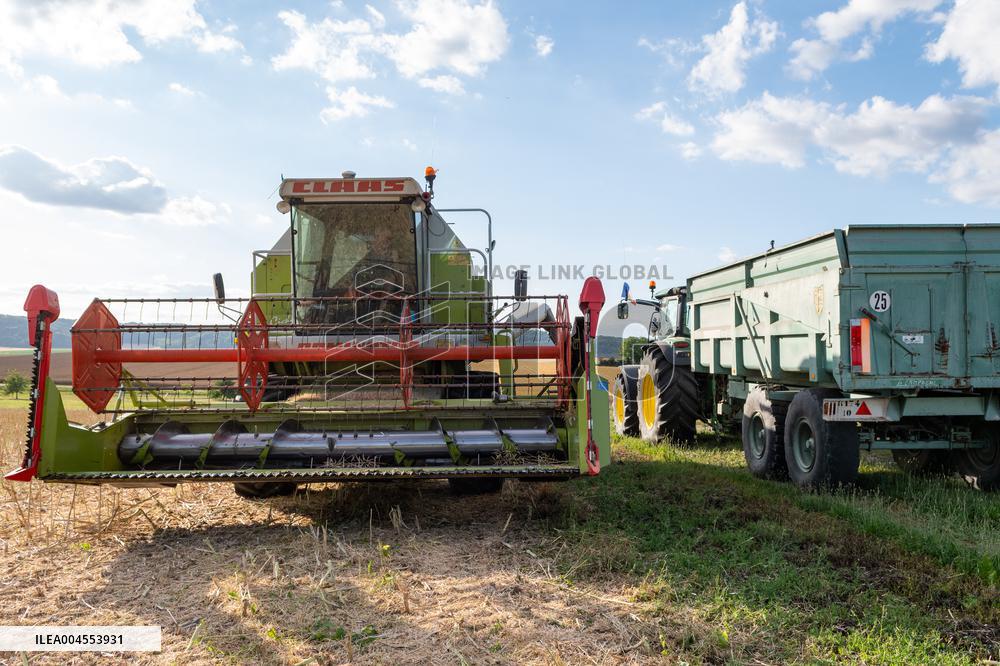 Rapeseed harvest near Chamoy in Aude - France