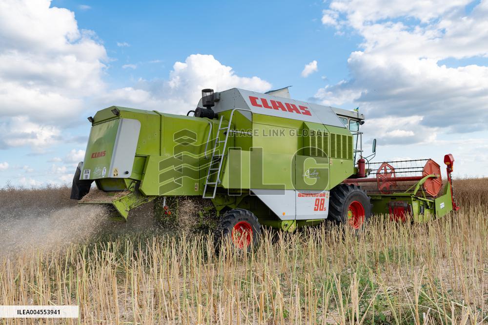 Rapeseed harvest near Chamoy in Aude - France
