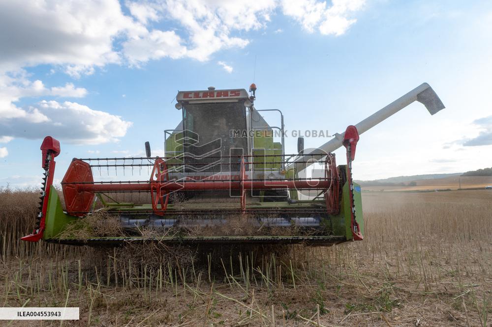 Rapeseed harvest near Chamoy in Aude - France
