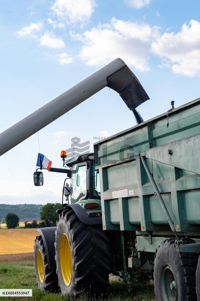 Rapeseed harvest near Chamoy in Aude - France