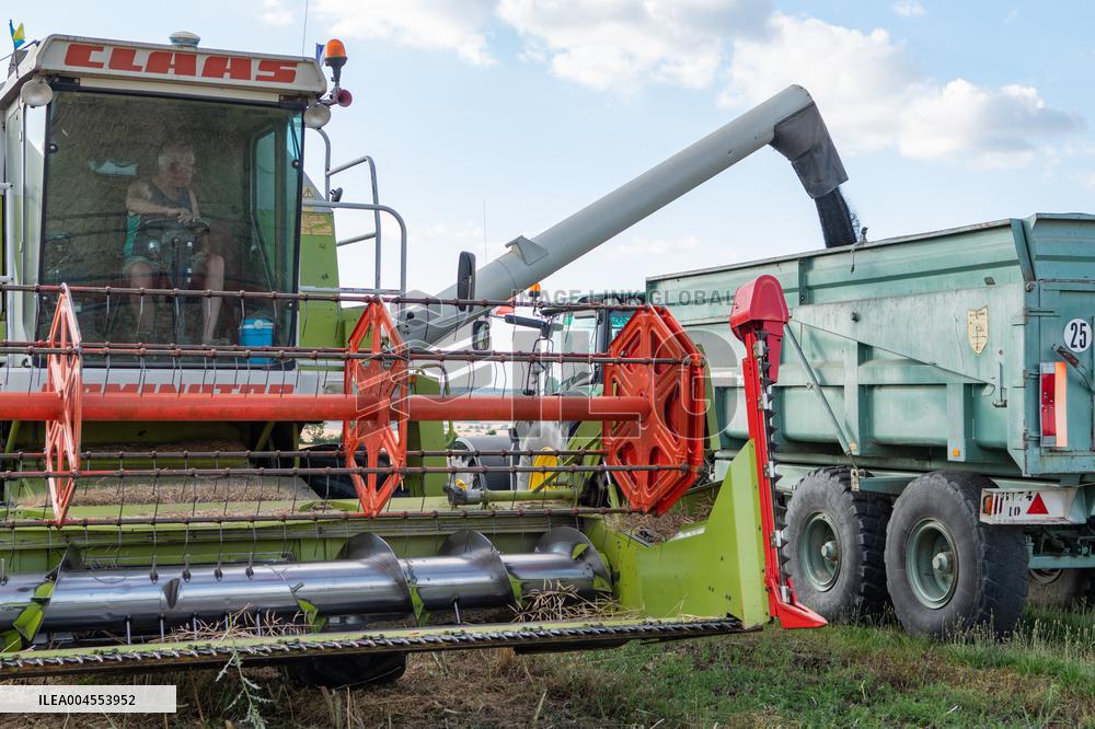 Rapeseed harvest near Chamoy in Aude - France