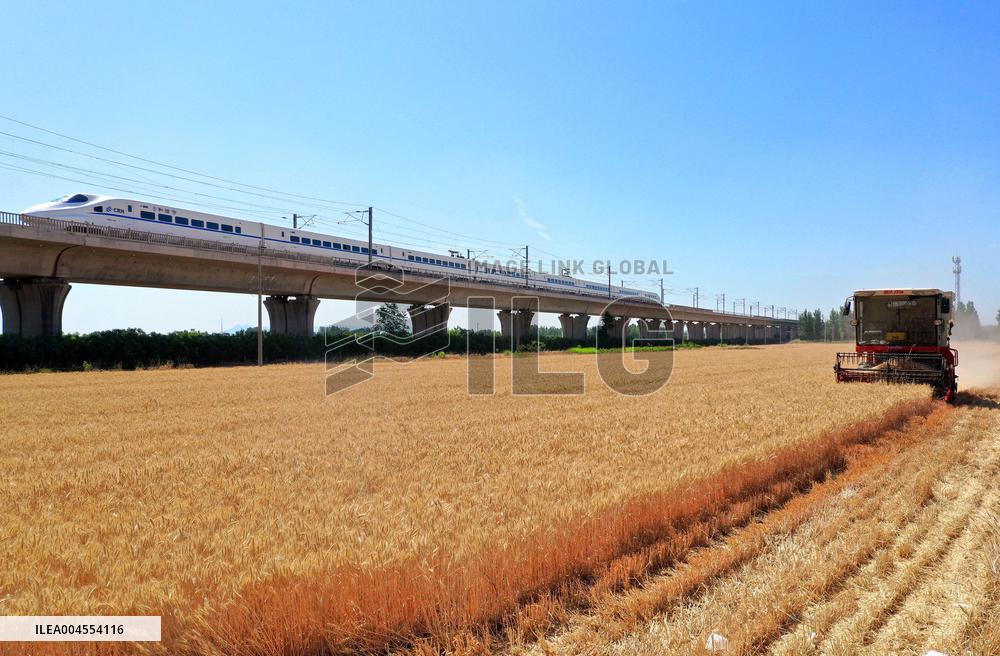 High-Tech Seeds And Tech-Driven Farming - China