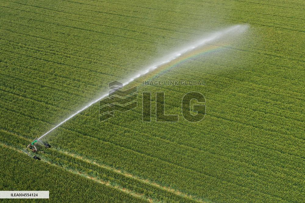 High-Tech Seeds And Tech-Driven Farming - China