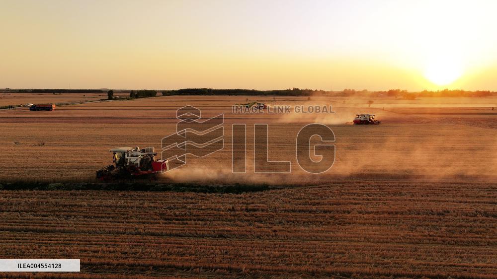 High-Tech Seeds And Tech-Driven Farming - China