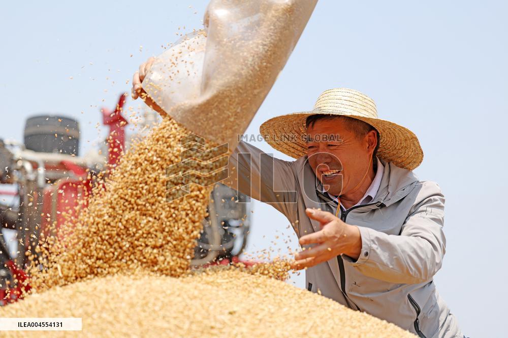 High-Tech Seeds And Tech-Driven Farming - China