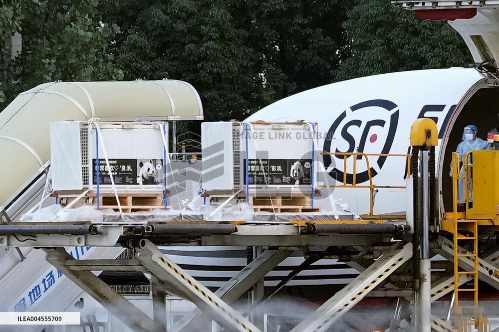 All 4 pandas at west Japan zoo returned to China