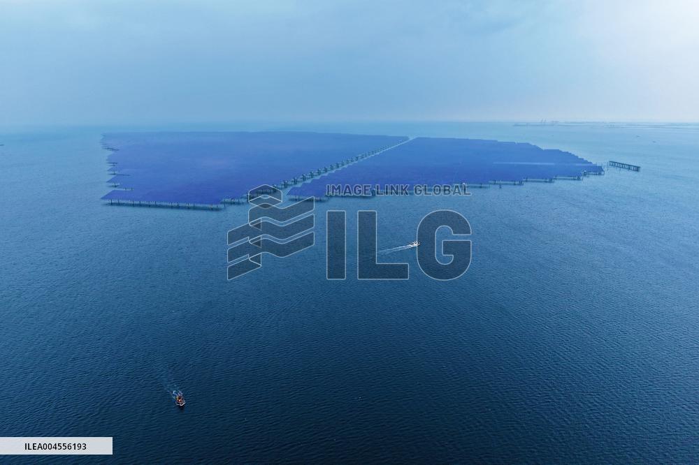 China New Energy System