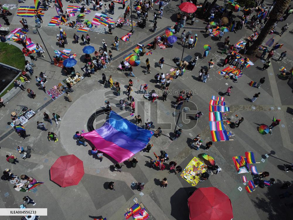 47th Annual Pride Parade Celebration in Mexico