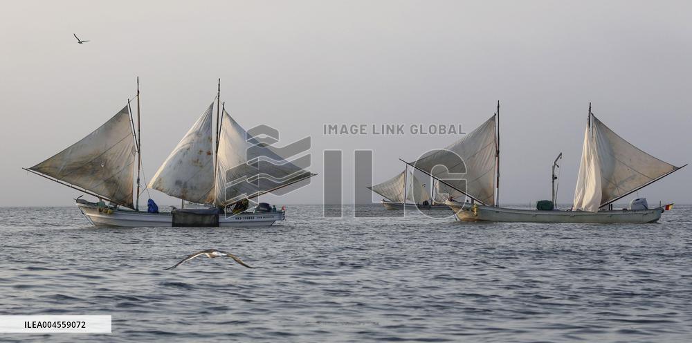Shrimp fishing in northern Japan