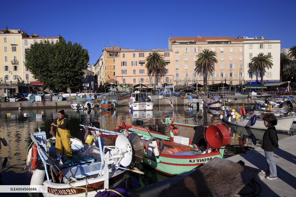 Illustration - Corse du Sud - France