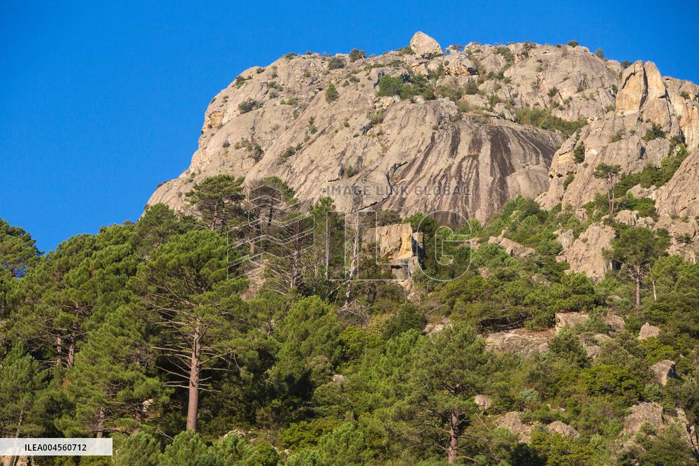 Illustration - Corse du Sud - France