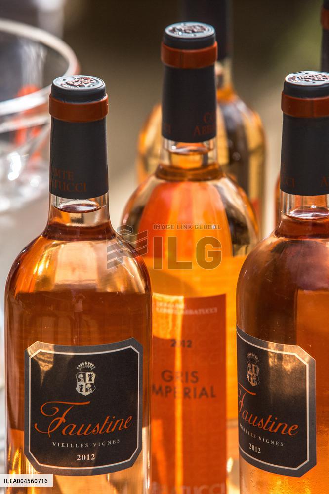 Illustration - Corse du Sud - France