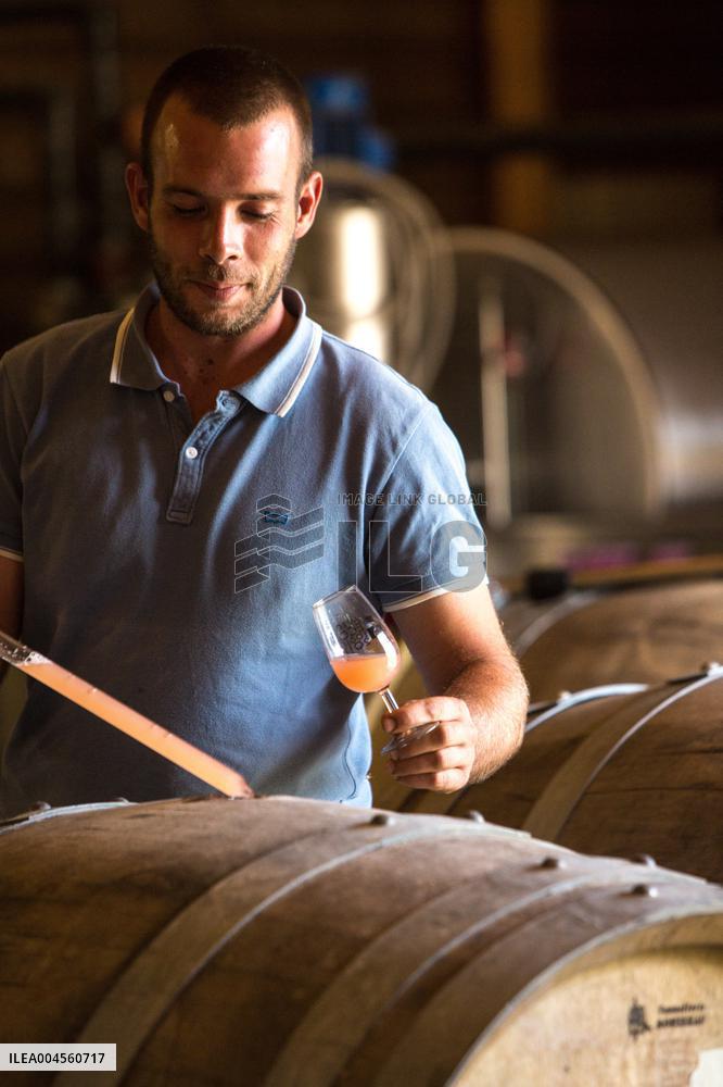 Illustration - Corse du Sud - France