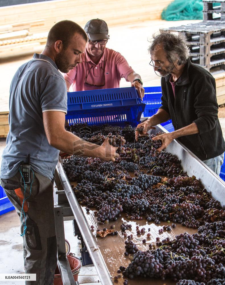 Illustration - Corse du Sud - France